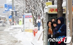 정읍 36cm '눈폭탄‘…눈에 갇힌 전북, 발도 묶여(종합)