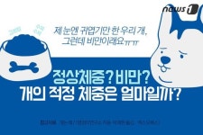 [펫카드] 반려견의 적정 체중은 얼마일까?