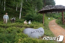 봄기운 미리 느껴보자...2월의 걷기 좋은 여행길