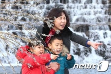 우수 앞두고 고개 내민 버들강아지
