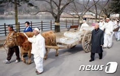 얼음 실은 소달구지 행차요