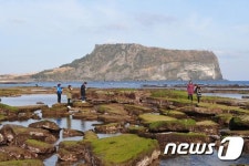 따뜻한 제주 즐기는 관광객