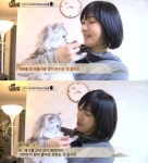 동물농장 선우선, 고양이와 대화 다 알아듣는다