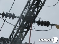 코레일, 전차선로 까치집 등 장애물 제거 총력