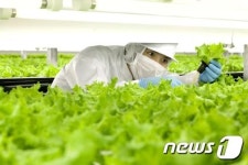 日 기업, 차세대 먹거리 미세기포에 주목하다