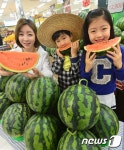 이마트, 경남 함안산 봄 수박 출시