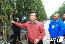 파프리카 재배농장 찾은 이동필 장관