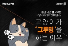 [펫카드] 고양이는 왜 그루밍을 하는 걸까