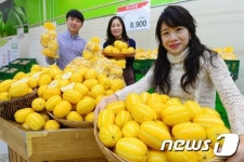 갓 수확한 햇참외 만나세요