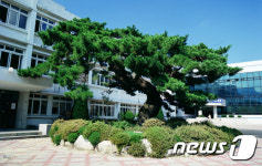 장수군, 봄철 조림사업 착수…336㏊에 66만그루