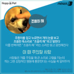 [펫카드] 멍멍~ 개는 왜 쓸데없이 짖는 걸까