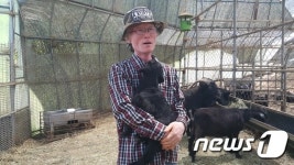 가축 수컷 거세 안하고 키우는 신기술 개발 추진
