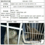 양천소방서, 유기동물 위해 팔 걷어붙였다