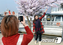 봄을 즐기는 관광객들