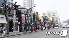 제주 도심 잘려나간 가로수들…“미관은 나몰라라”