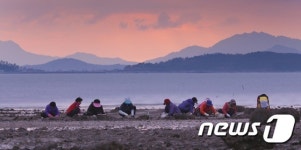 전남 어촌체험마을 현대인 쉼터로 인기몰이