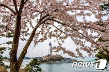 진해 벚꽃구경도 식후경… 다양한 맛집 여행의 즐거움 배가