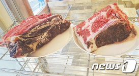 진해 벚꽃구경도 식후경… 다양한 맛집 여행의 즐거움 배가