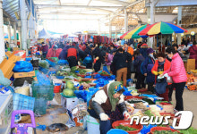 화순전통시장, 고인돌전통시장으로 개명… 야시장도 개장