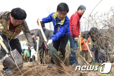 식목일맞아 자투리땅을 숲으로…노원구 희망의 나무심기