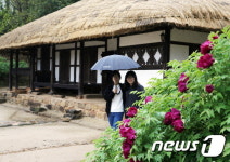 버스에프와이투어 | 금호고속, 강진 '오감통통' 시티투어 버스 운영