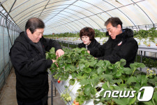 강릉시의회, 현장의정 활동으로 영농철 농촌일손 돕기