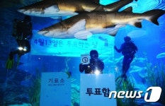 상어수조에서 4.13 투표독려!