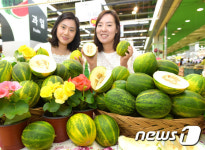 '달고 부드러운 파파야메론 드세요'