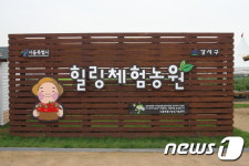 서울시, 청소년 힐링농업체험 프로그램 운영