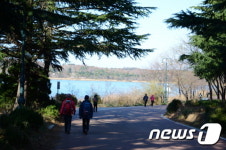 휠체어 타도 봄 풍경 즐긴다…4월 추천 쉬운 걷기여행길