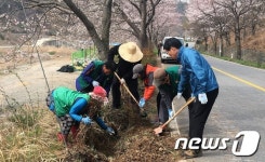 순천시 상사면 주민 100여명 나무심기 행사