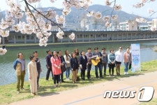 [포토] 순천 동천 벚꽃 길 따라 노래 나들이