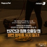 [펫카드]나 똥 밟았어…개똥과의 전쟁 선포한 도시들