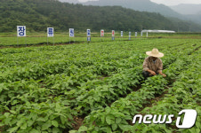 순창군 “장류원료 생산·유통 장려금 19억 지원”
