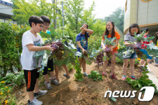 학교서 텃밭 체험…서울 양천구, 오감톡톡 스쿨팜