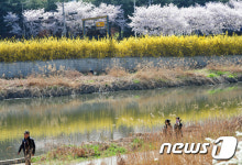 꽃으로 물든 전주천