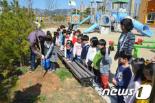 충남도교육청, 내포유치원 등서 나무심기 행사