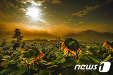 함안 법수산권역‘ ICT창조마을’ 사업에 선정