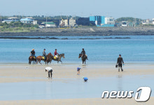 승마와 봄 바다