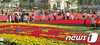포항으로 튤립 구경오세요
