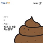 [펫카드] 개들이 냄새나는 똥을 먹는 이유는?