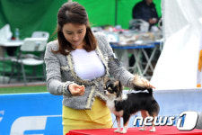 귀염귀염 강아지