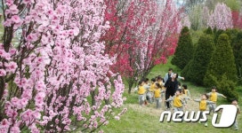 동심 저격하는 홍도화의 매력