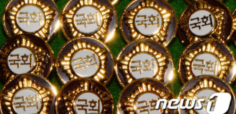 황금테 두른 20대 국회의원 배지
