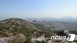 파란하늘과 벚꽃이 어울어진 서울도심