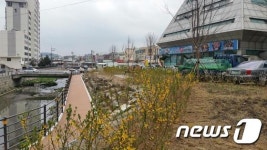 천안시, 성정천 생태하천 복원사업 완료