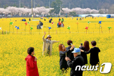 다채로운 봄 느끼세요…동해안 봄 축제 한창