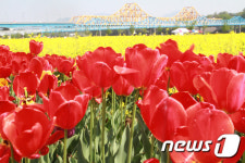 튤립공원에서 바라본 낙동철교