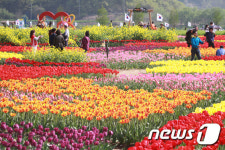한반도 튤립공원