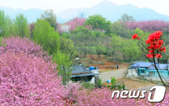고즈넉한 분위기 속의 전주 완산칠봉 꽃동산